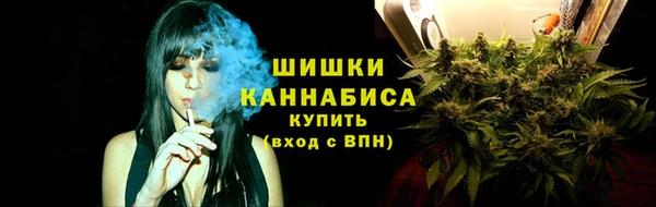 стафф Богородицк
