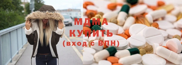 прущие грибы Богданович