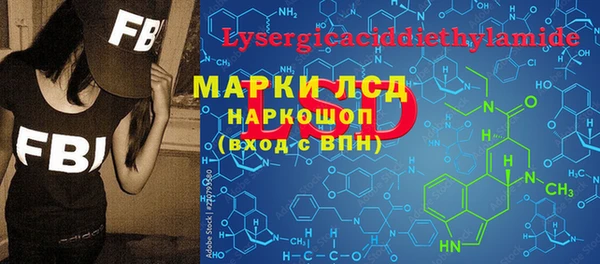 прущие грибы Богданович