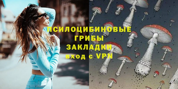 прущие грибы Богданович