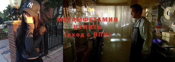 прущие грибы Богданович