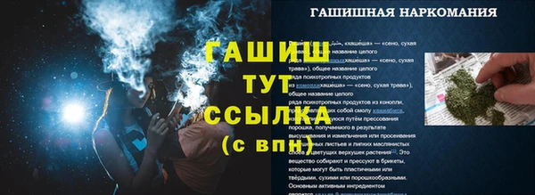 стафф Богородицк